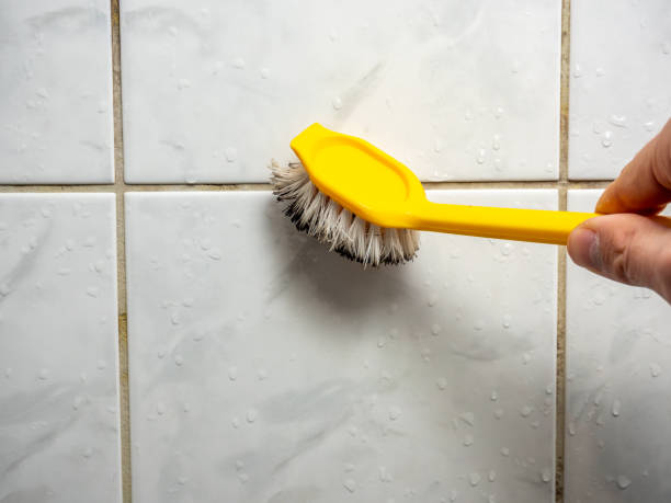 Best Home Mold Removal  in Leilani Estates, HI