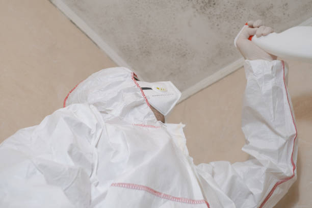 Best Mold Cleaning Services  in Leilani Estates, HI