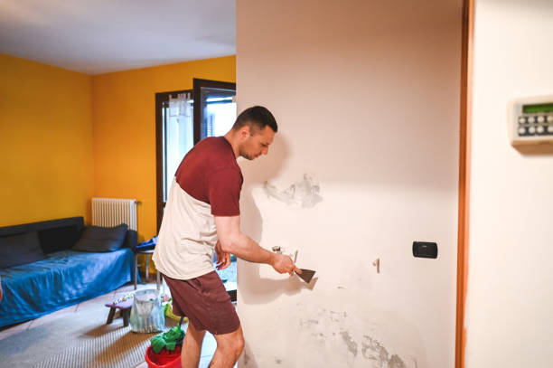 Best Commercial Mold Removal  in Leilani Estates, HI